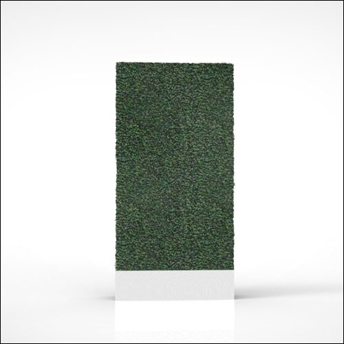 Boxwood-Hedge-001