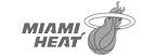 Miami Heat Logo